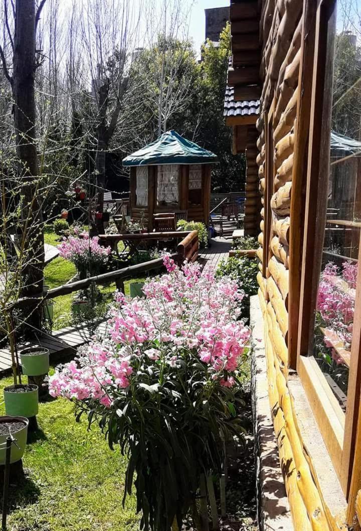 Cabanas Tehuel لاس جافيوتاس المظهر الخارجي الصورة